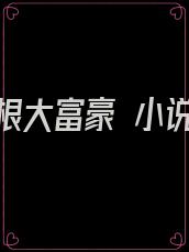 草根大富豪 小说